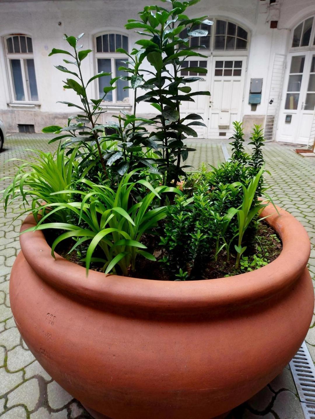 Like Centrum, Wifi, Terrace Appartement *
